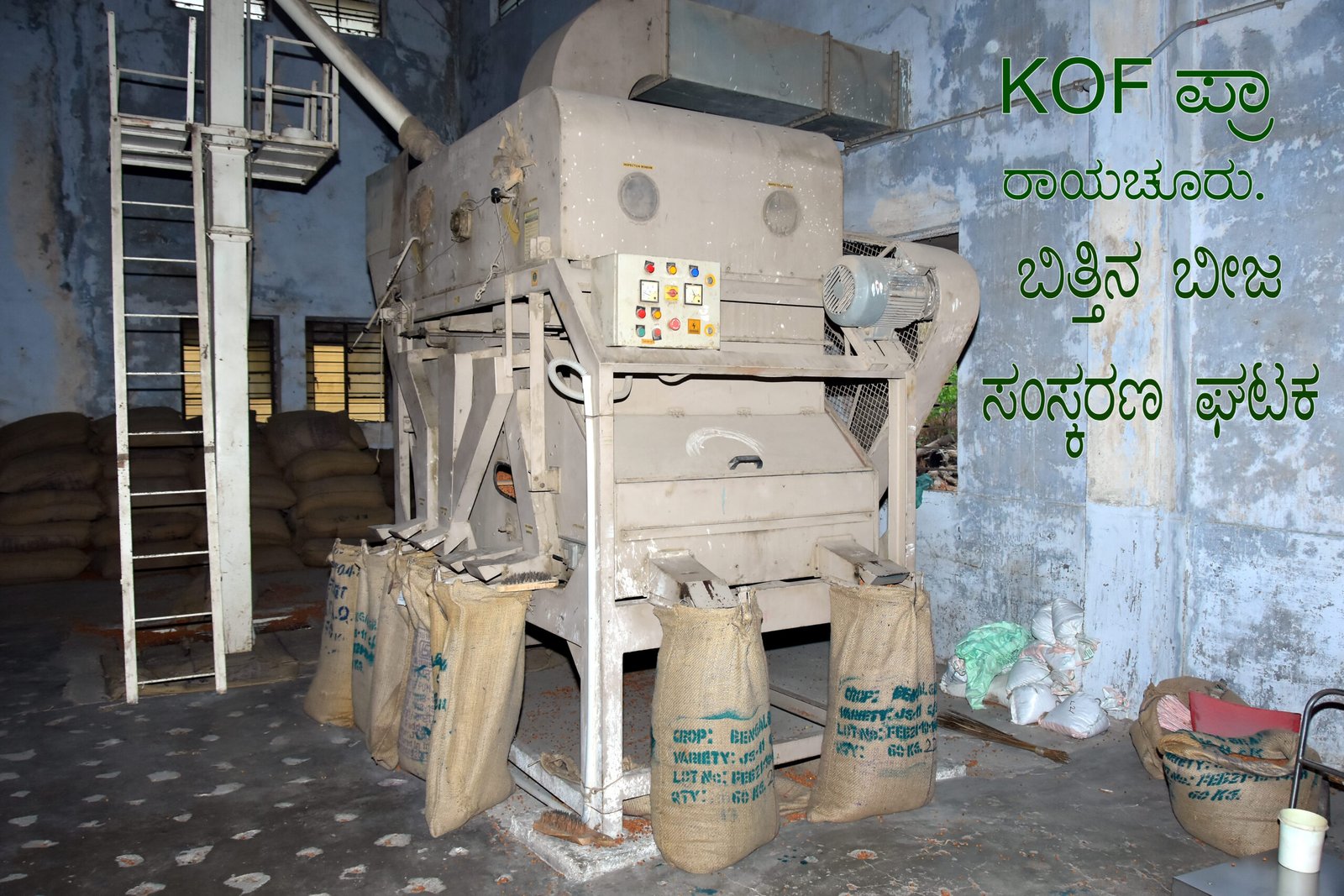 Seed Processing